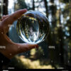 avatar-image